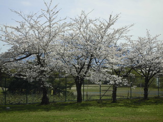 2024_0422_01.JPG